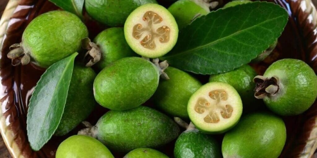 feijoa beneficios